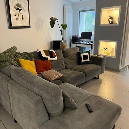 Appartement 110M2 Annemasse Buitenkant foto